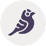 Currency icon