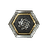 Currency icon