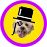 Currency icon