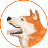Currency icon