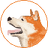 Currency icon