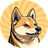 Currency icon