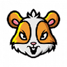 Currency icon