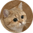 Currency icon