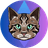 Currency icon