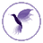 Currency icon