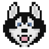Currency icon