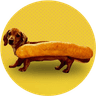Currency icon