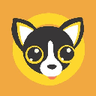 Currency icon