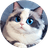 Currency icon