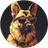Currency icon