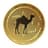 Currency icon