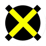 Currency icon