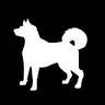 Currency icon