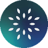 Currency icon