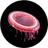 Currency icon