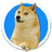 Currency icon