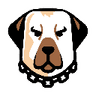 Currency icon