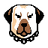 Currency icon