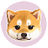 Currency icon