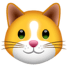Currency icon