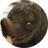 Currency icon
