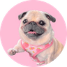 Currency icon