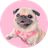 Currency icon