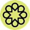 Currency icon