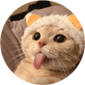 Currency icon