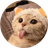 Currency icon