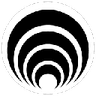 Currency icon