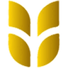 Currency icon