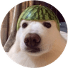 Currency icon