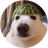 Currency icon
