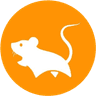 Currency icon