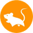 Currency icon