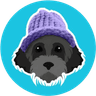Currency icon
