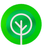 Currency icon