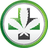 Currency icon