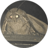 Currency icon