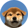 Currency icon
