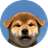 Currency icon