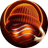 Currency icon