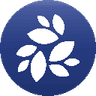 Currency icon