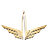Currency icon