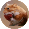 Currency icon