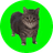 Currency icon