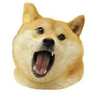 Currency icon