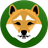 Currency icon